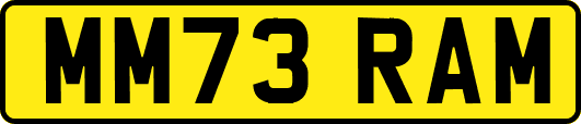 MM73RAM