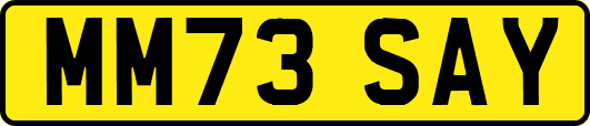 MM73SAY