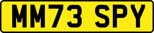 MM73SPY