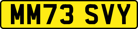 MM73SVY