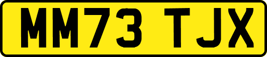 MM73TJX