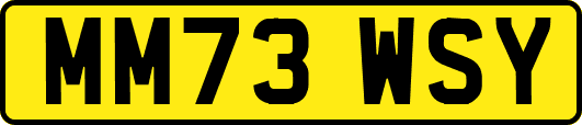 MM73WSY