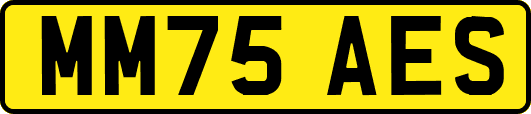 MM75AES