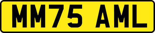 MM75AML