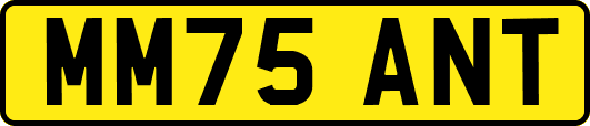 MM75ANT