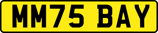 MM75BAY