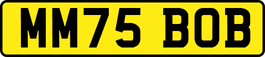 MM75BOB