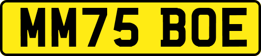 MM75BOE