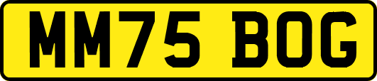 MM75BOG