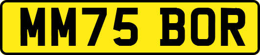 MM75BOR