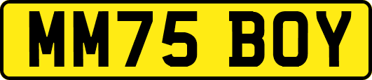 MM75BOY