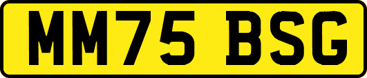 MM75BSG