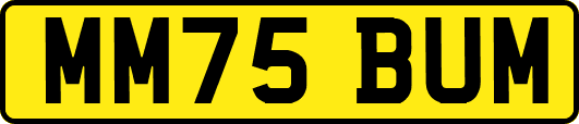 MM75BUM
