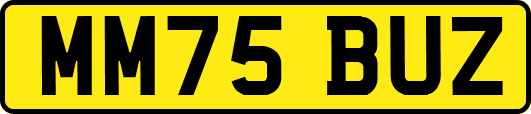 MM75BUZ
