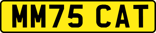 MM75CAT