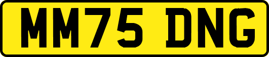 MM75DNG