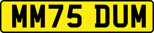 MM75DUM
