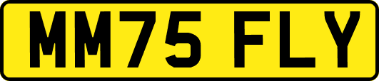 MM75FLY