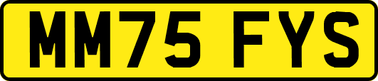 MM75FYS