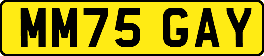 MM75GAY