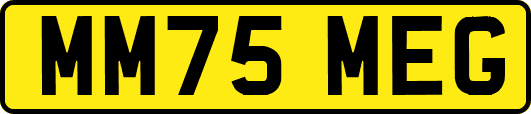 MM75MEG