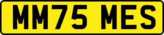 MM75MES