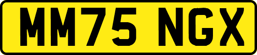 MM75NGX