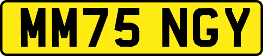 MM75NGY