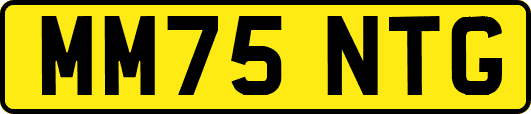 MM75NTG