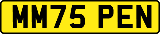 MM75PEN