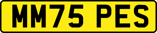MM75PES