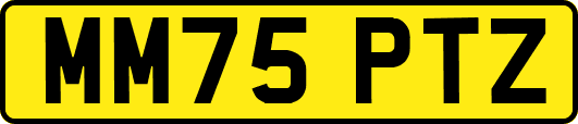 MM75PTZ