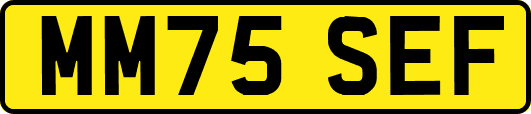 MM75SEF