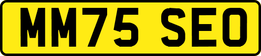 MM75SEO