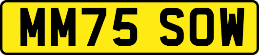 MM75SOW