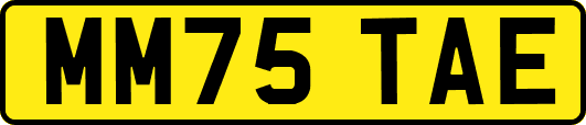 MM75TAE