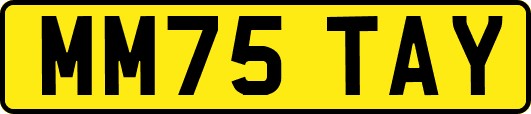 MM75TAY