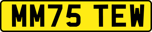 MM75TEW
