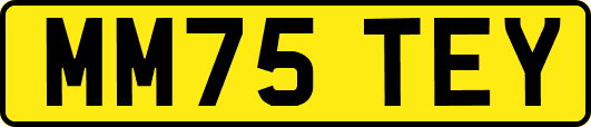MM75TEY