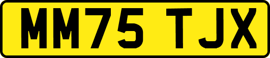 MM75TJX