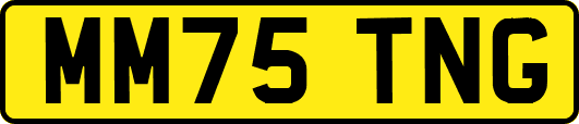 MM75TNG