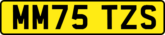 MM75TZS