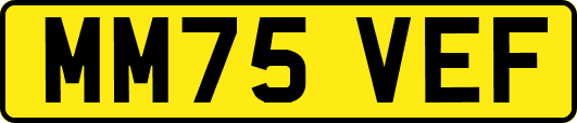 MM75VEF