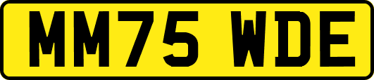 MM75WDE