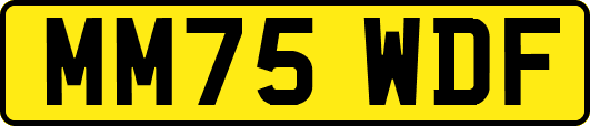 MM75WDF