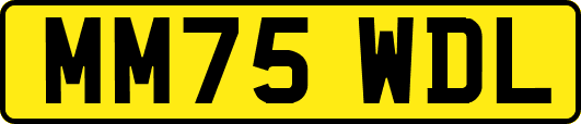 MM75WDL