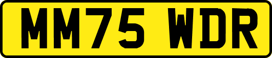 MM75WDR