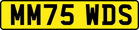 MM75WDS