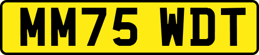 MM75WDT