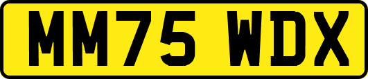MM75WDX